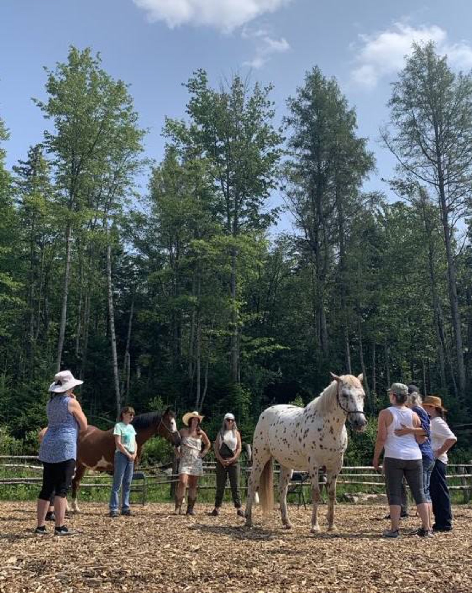 Groupe avec les Chevaux