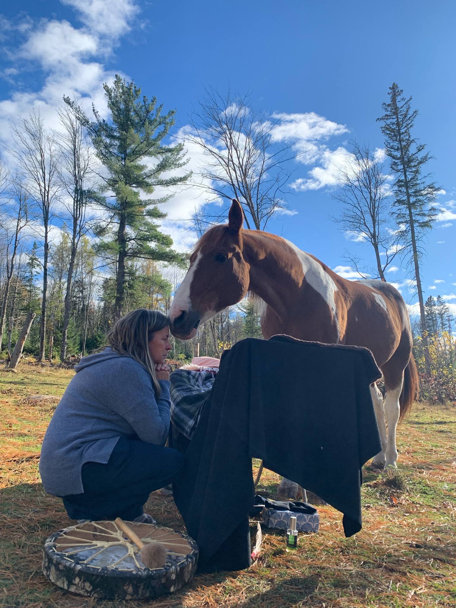 Connexion avec le cheval